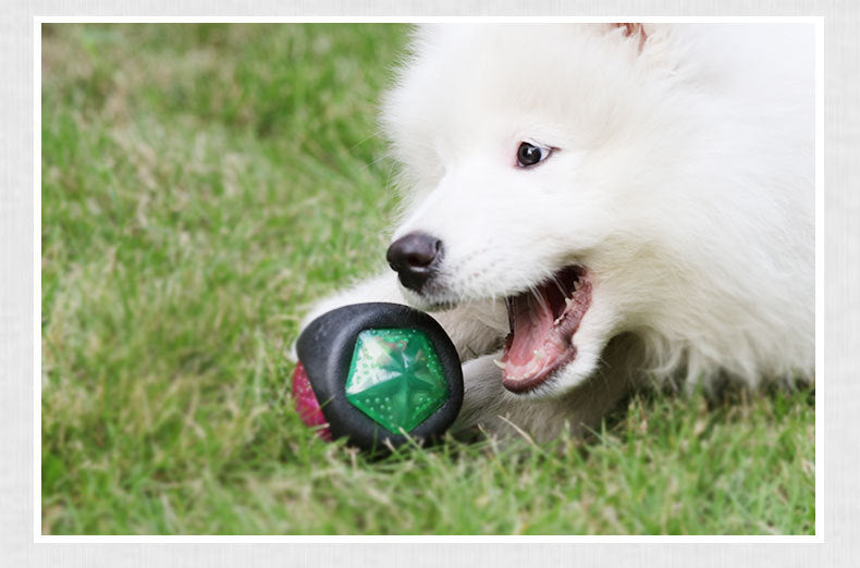 Sounding Dog Ball W/ Lights, Chew Resistant Dog Toy