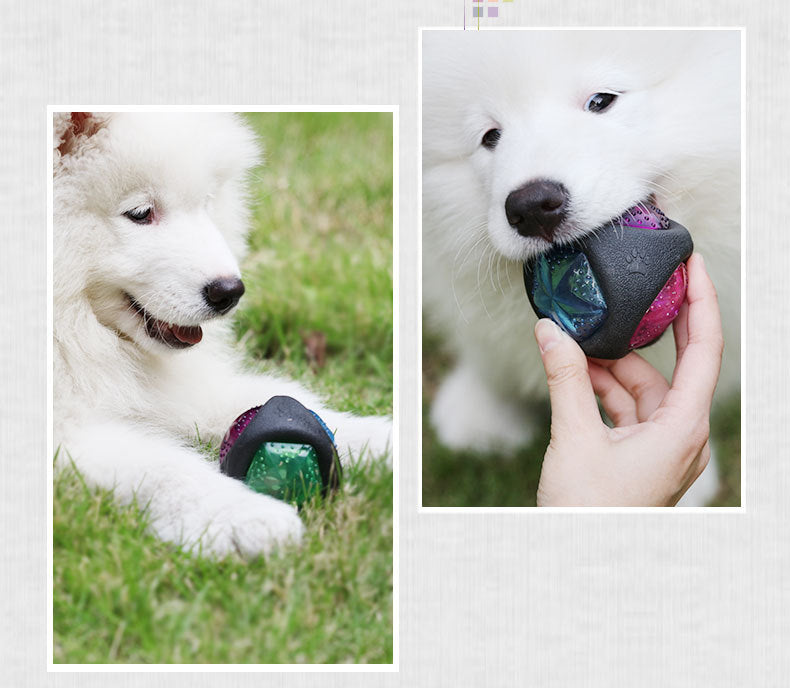 Sounding Dog Ball W/ Lights, Chew Resistant Dog Toy