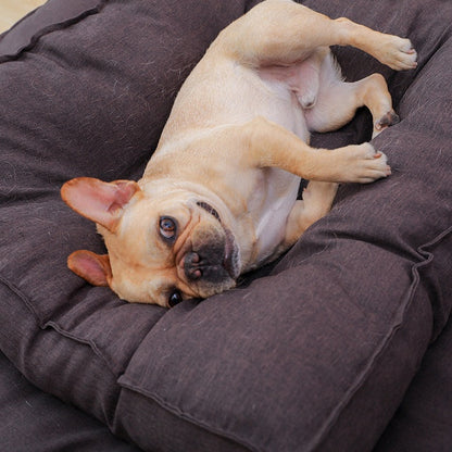 Durable Pillow Dog Bed, Comfy dog bed