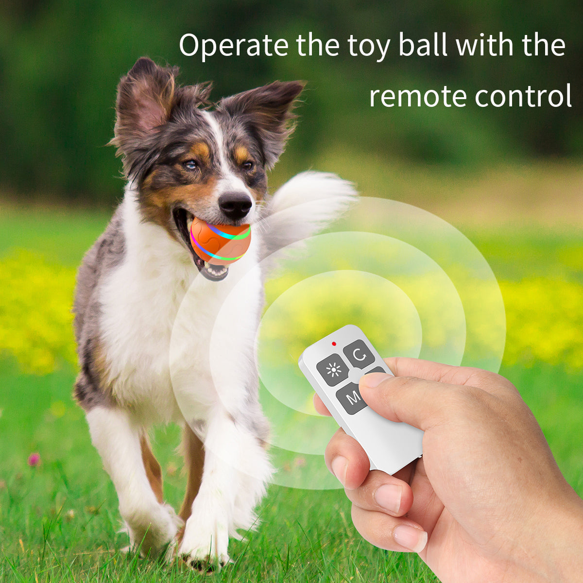 Interactive Ball Dog Toy w/Remote Control, Dog Ball for Stimulation, & Boredom