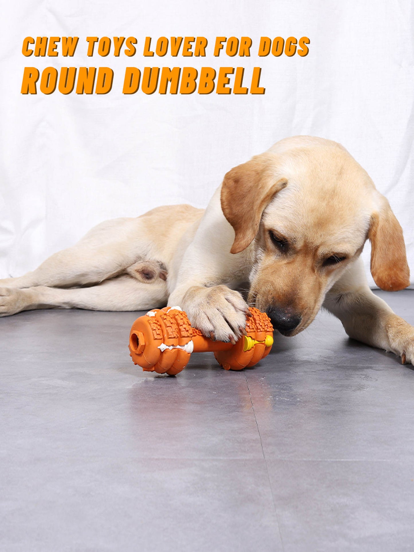 Chew Resistant Dumbbell Dog Toy