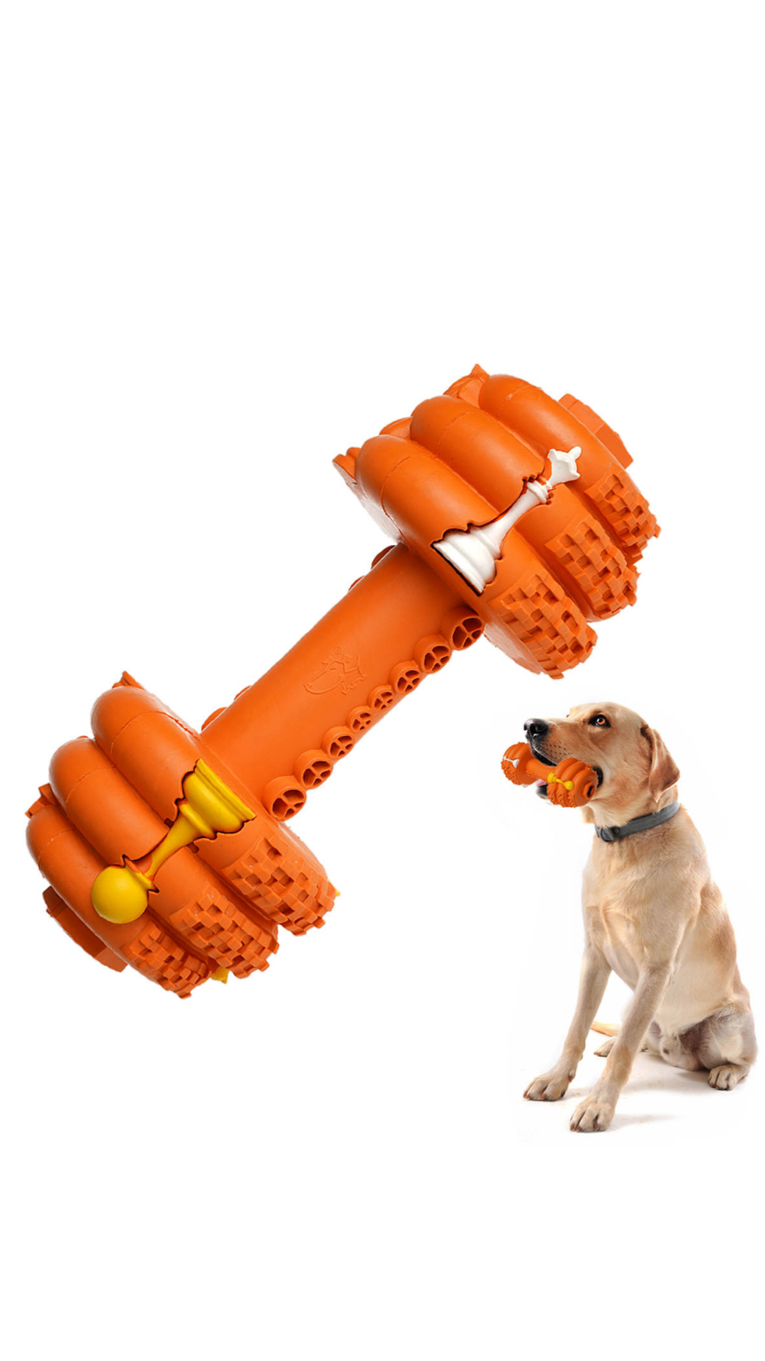 Chew Resistant Dumbbell Dog Toy