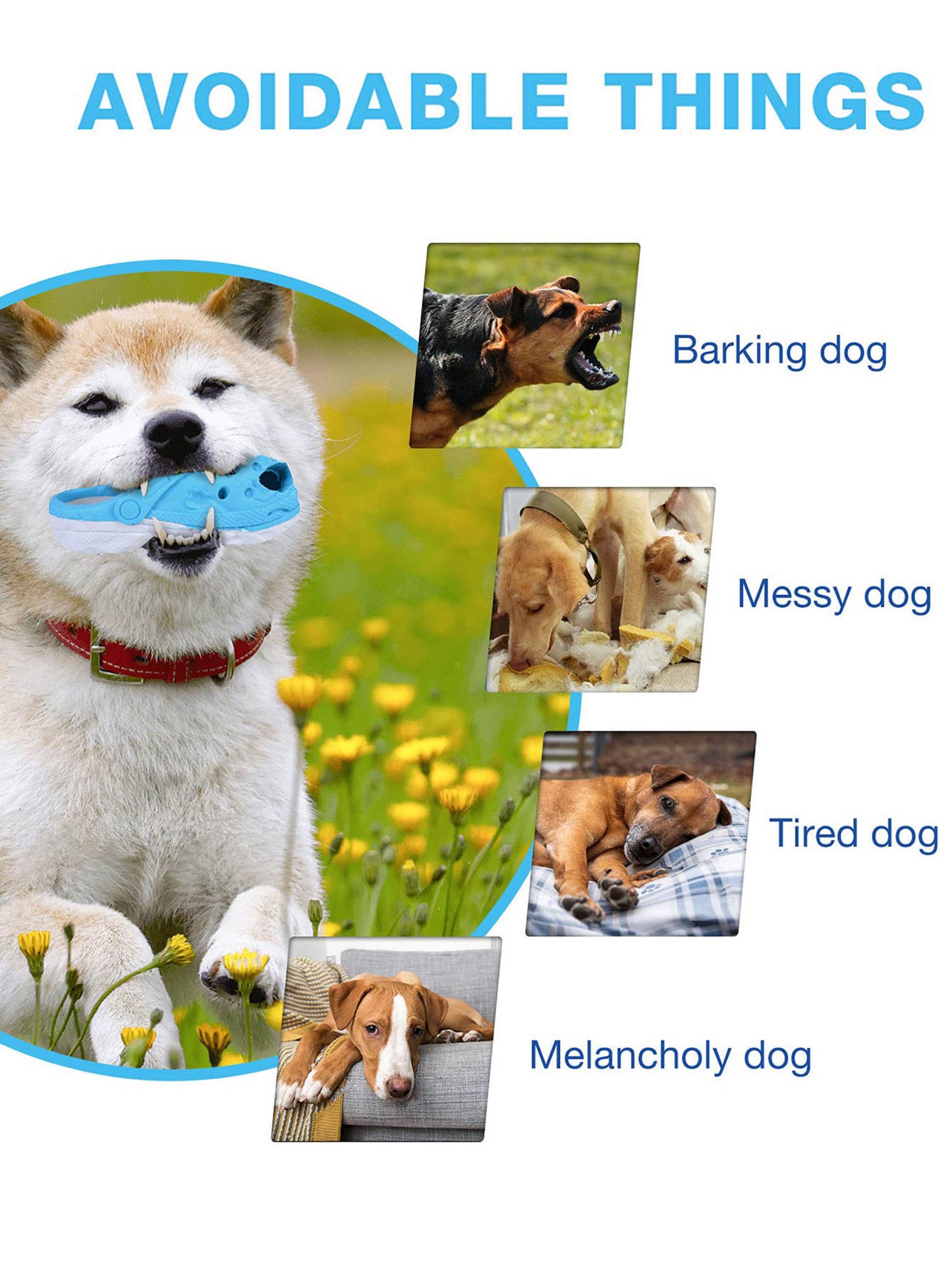 Chew Resistant Dog Toy, Non-Toxic Rubber