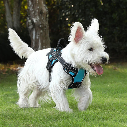 Dog Breathable Patch Harness