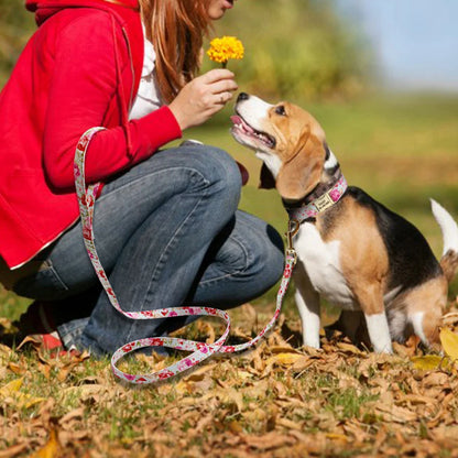 Printed Dog Collar Leash Set