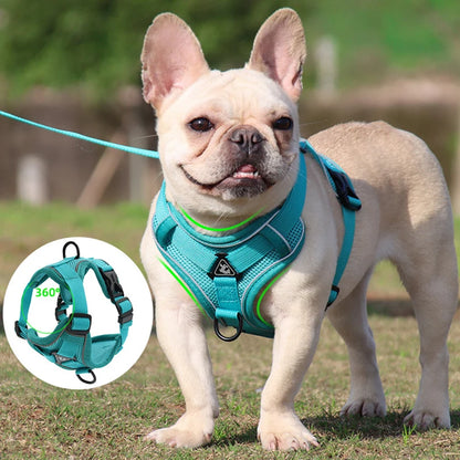 Adjustable Dog Harness Leash Set