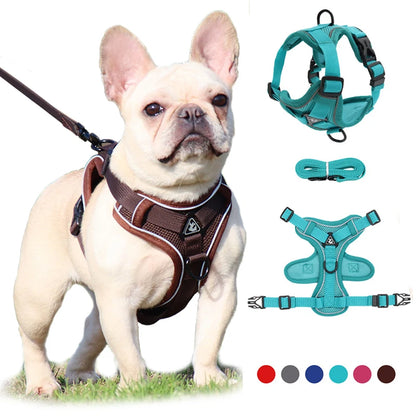 Adjustable Dog Harness Leash Set