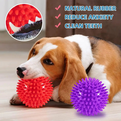 Dog Gum Health Squeaky Ball Toy