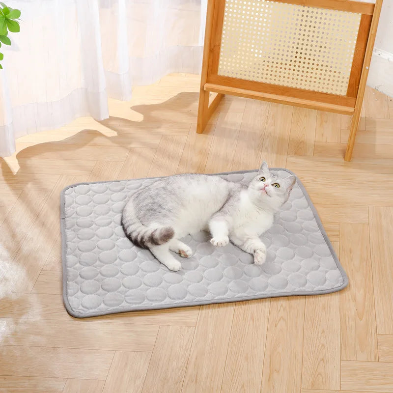 Pet Ice Silk Cushion Cooling Ice