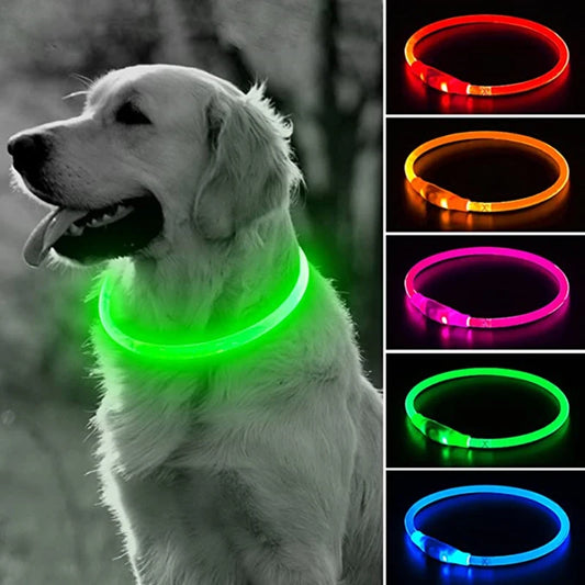 Led Dog Collar Luminous Usb