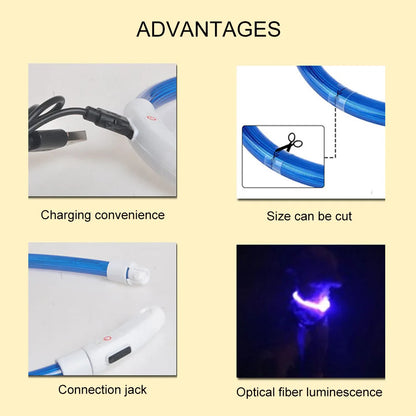 Led Dog Collar Luminous Usb