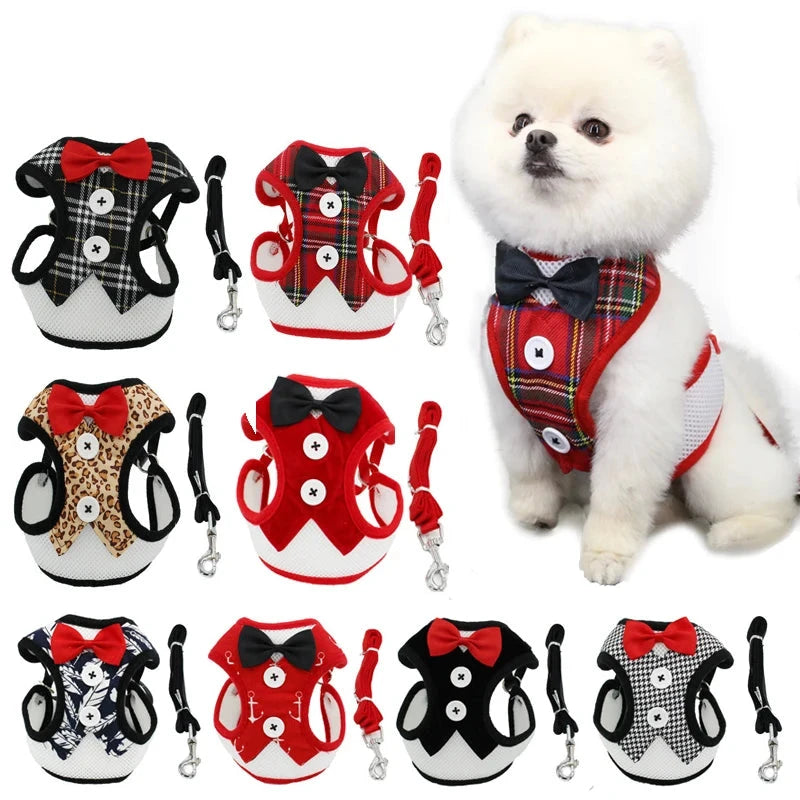 Elegant Bow Dog Collars Harness