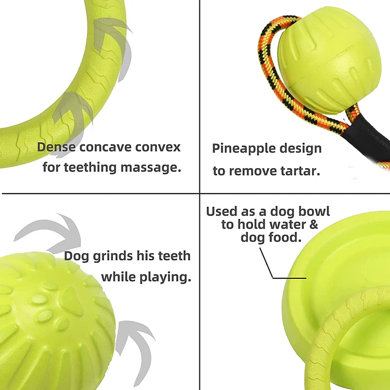 Pet Flying Discs Training Ring Toy