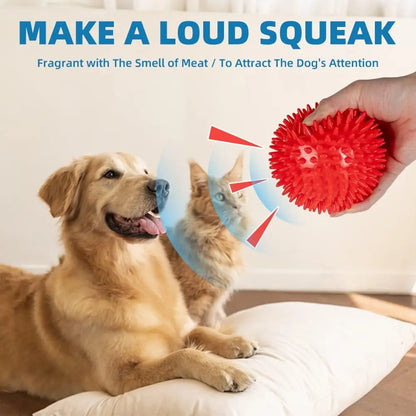 Dog Gum Health Squeaky Ball Toy