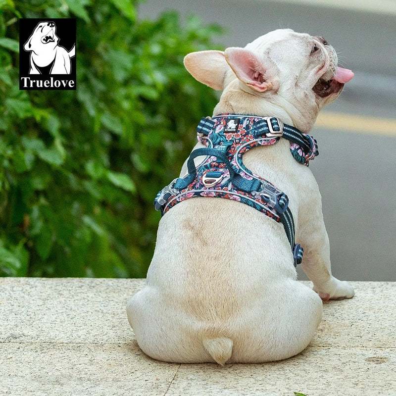 Split Dog Fashion Harness