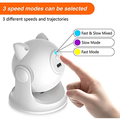 Pet Interactive Laser Toy