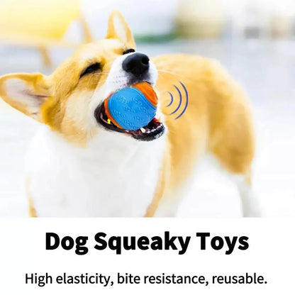 Dog Squeaky Bouncy Balls Toy