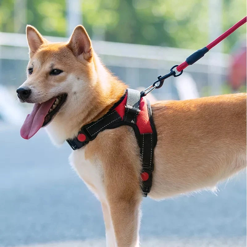 Dog Reflective Adjustable Harness