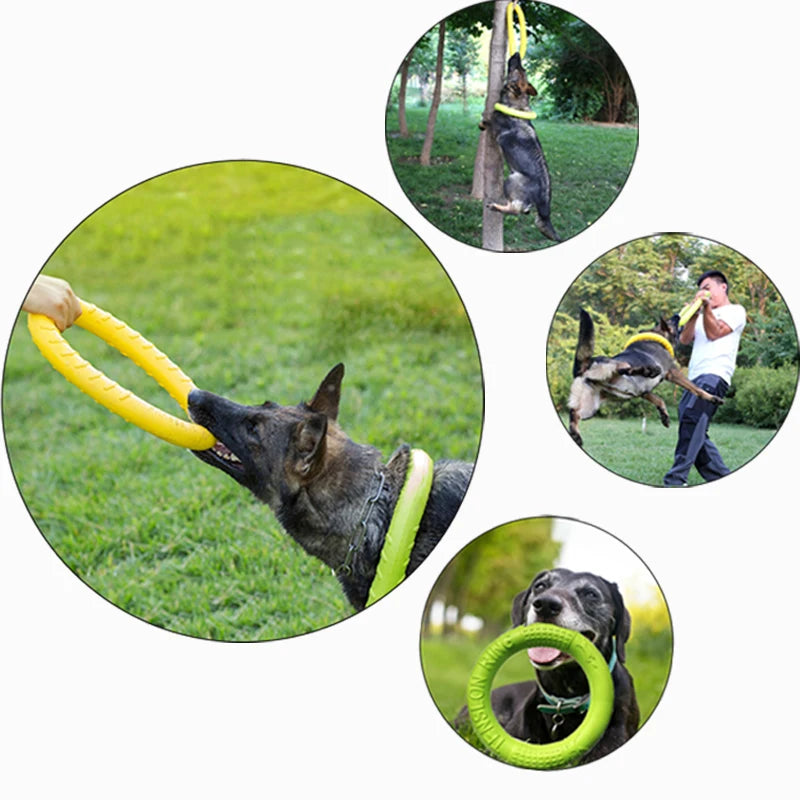 Dog Training Flying Ring Toy