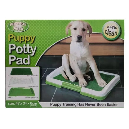 Grass Patch Dog Diaper