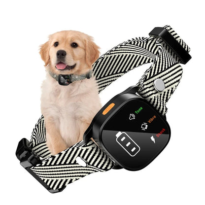 Electric Dog Training Collar