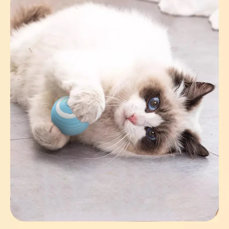 Cat Automatic Rotating Rolling Ball