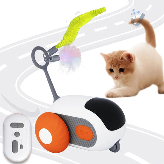 Cat Moving Remote Mouse Toy