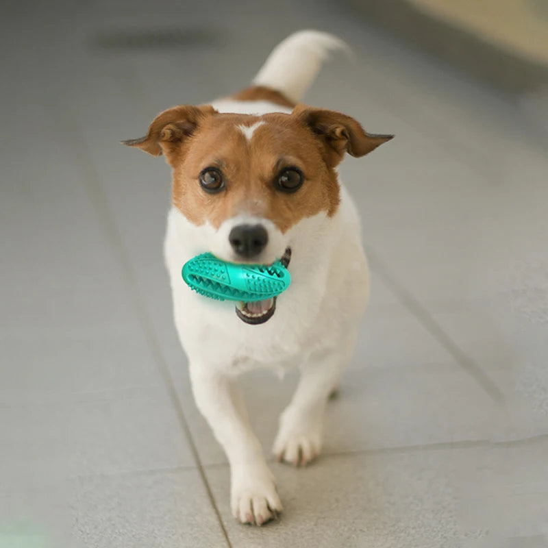 Dog Rubber Ball Chew Molar Toy