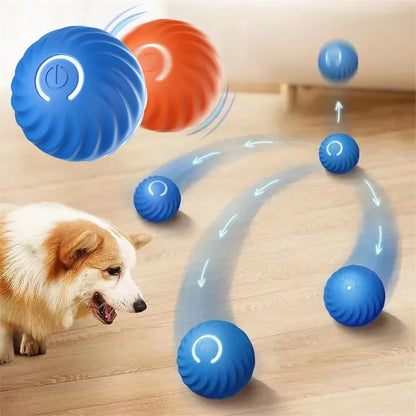 Dog Moving Bouncing Ball Toy