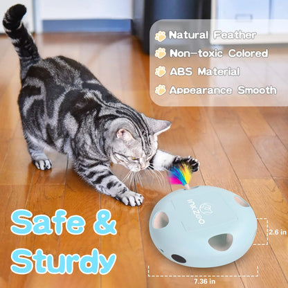 Cat Smart Interactive Kitten Toy