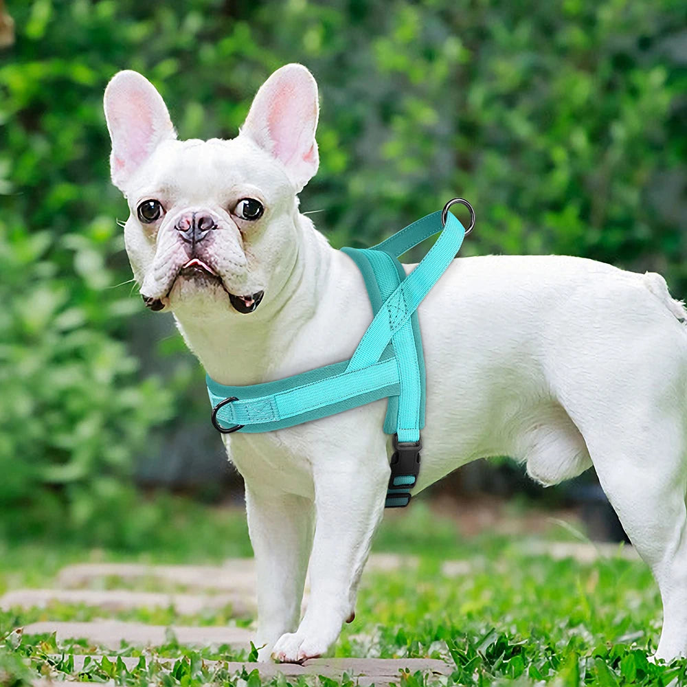 Nylon Dog Soft Padded Harness