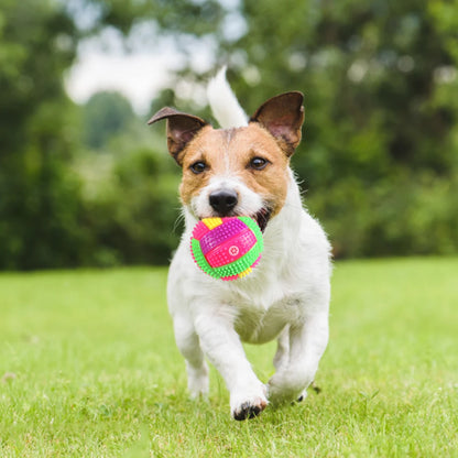 Dog Glow Ball Squeaky Toy