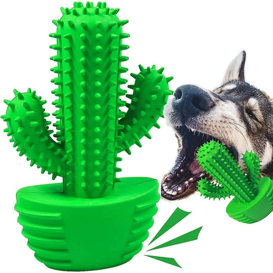 Dog Cactus Rubber Chew Toy