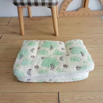 Dog Thicken Sleeping Blanket Mat