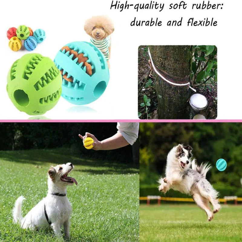 Dog Treat Feeder Balls Toy