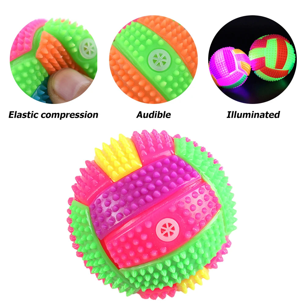 Dog Glow Ball Squeaky Toy