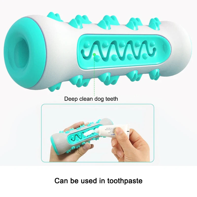 Dog Molar Toothbrush Chew Toy