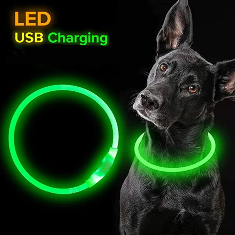 Led Dog Collar Luminous Usb