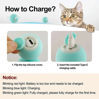 Cat Moving Remote Mouse Toy