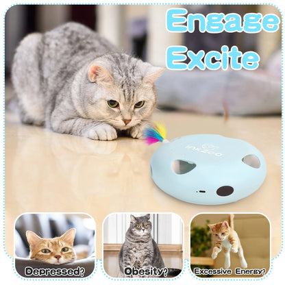 Cat Smart Interactive Kitten Toy