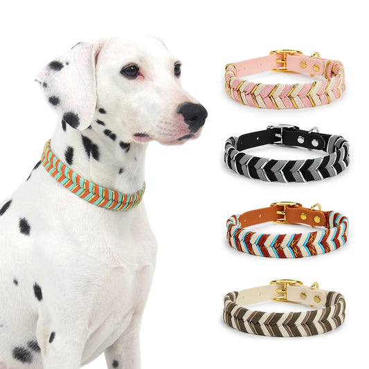 Dog Colorful Design High-End Collar