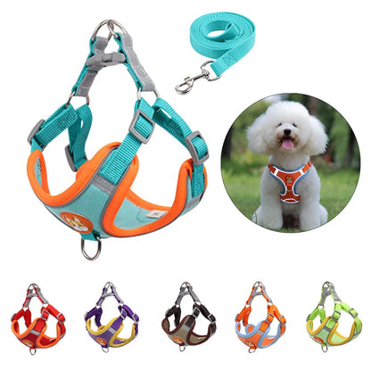 No Pull Dog Harness Leash Set