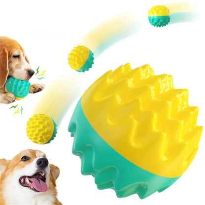 Dog Squeaky Bouncy Ball Toy