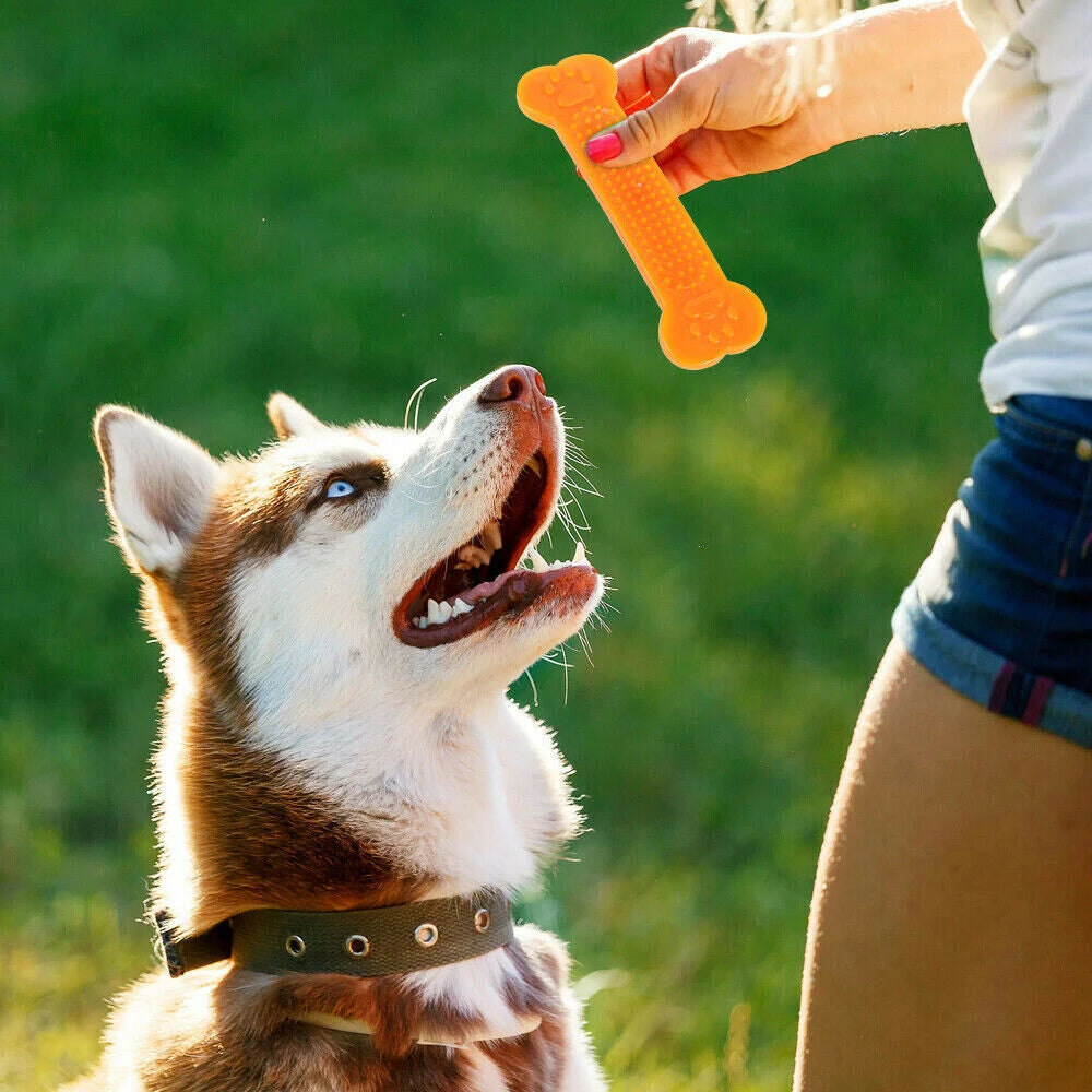 Dog Rubber Bone Chew Toy