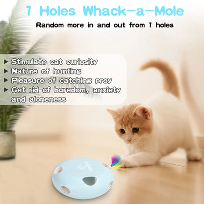 Cat Smart Interactive Kitten Toy