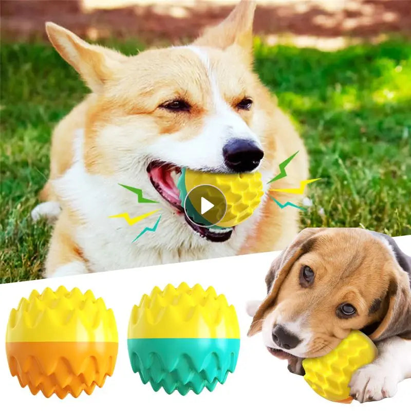 Dog Squeaky Bouncy Ball Toy