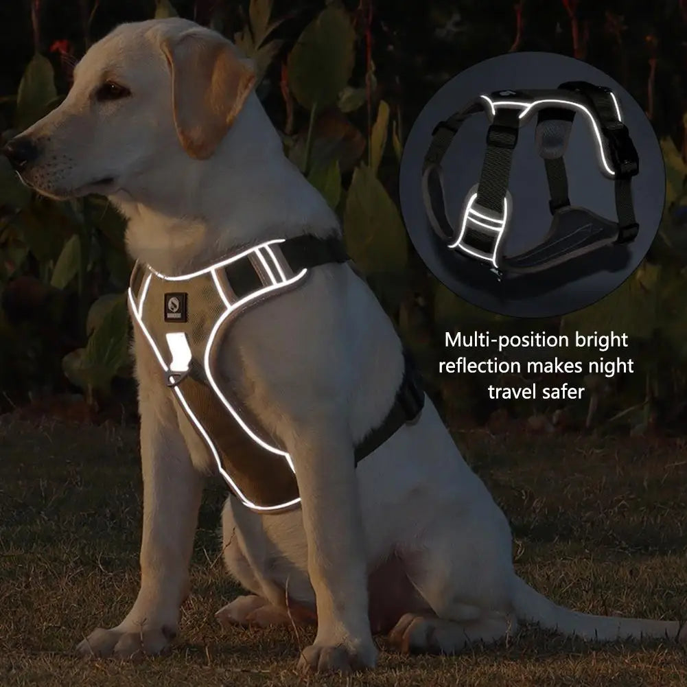 Medium Large Dog Harnesses Collar