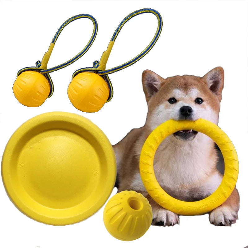 Pet Flying Discs Training Ring Toy