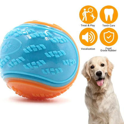 Dog Squeaky Bouncy Balls Toy