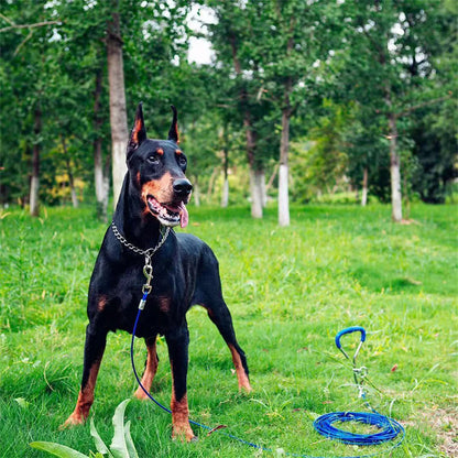 Pet Snake Chain Collar